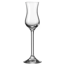 Leonardo Daily Grappaglas 80 Ml