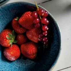 Leonardo MATERA Keramikschale 15,3 Cm Blau 15 Leonardo MATERA Keramikschale 15,3 Cm Blau -Leonardo 443eab29 84c5 4765 8819 cabe99553e36